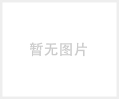 SWI500-LBT进线备投保护装置